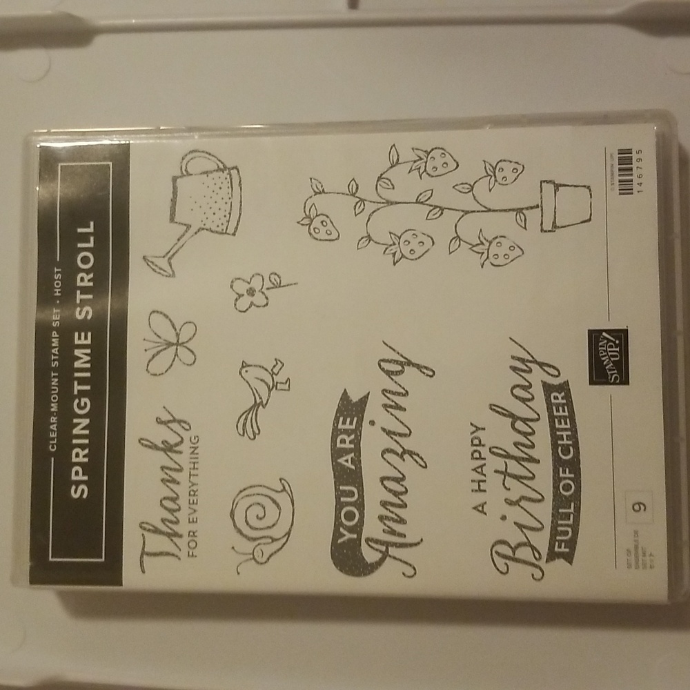 Stampin Up Springtime Stroll clear mount stamp set.